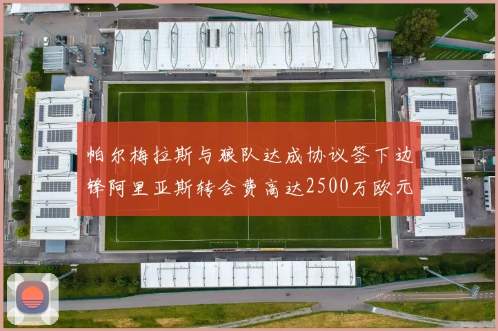 帕尔梅拉斯与狼队达成协议签下边锋阿里亚斯转会费高达2500万欧元