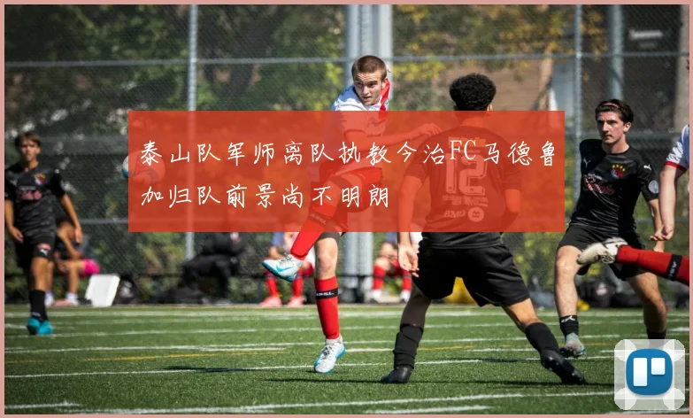 泰山队军师离队执教今治FC马德鲁加归队前景尚不明朗