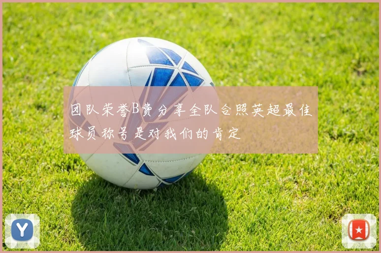 团队荣誉B费分享全队合照英超最佳球员称号是对我们的肯定